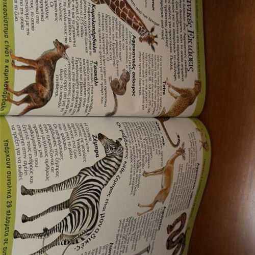 Metamfiesmena Zoa children's book