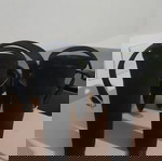 Παπούτσια Sante