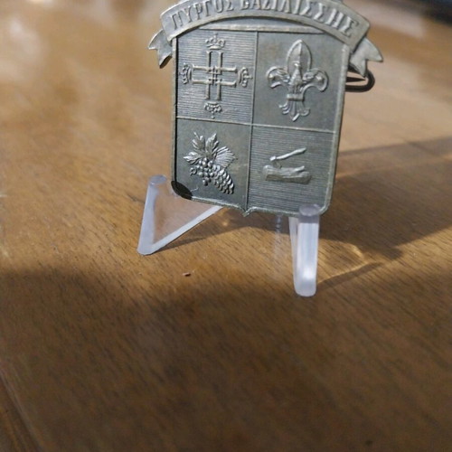 Scout pin used