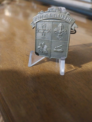 Scout pin used