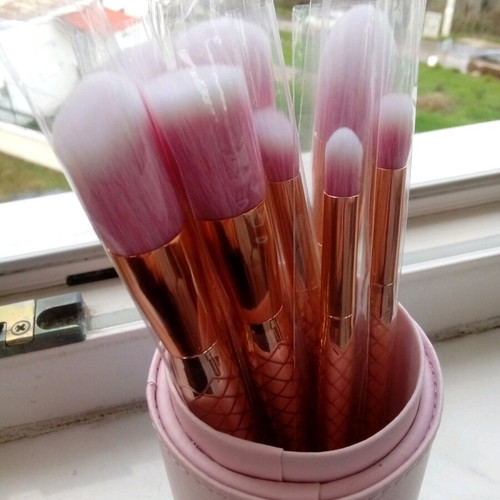 Makeup brush set of 10 new with case