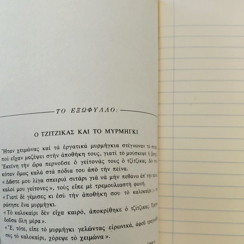 EGL Notebooks like new, 2x60 pages, 1960s-70s, Aesop's Fables covers