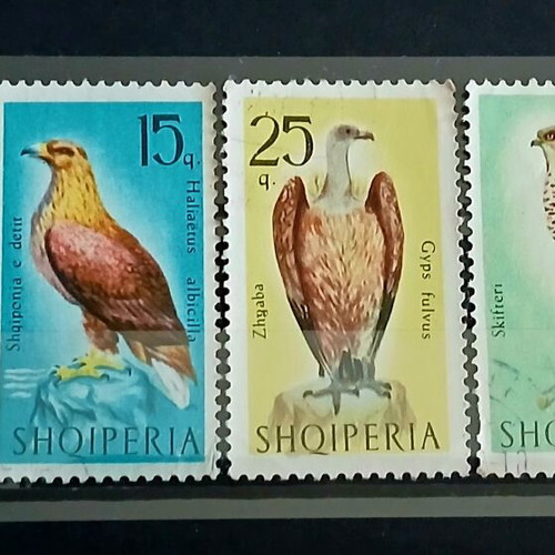 Collection of 6 Albanian stamps 1966 Birds of Prey series new