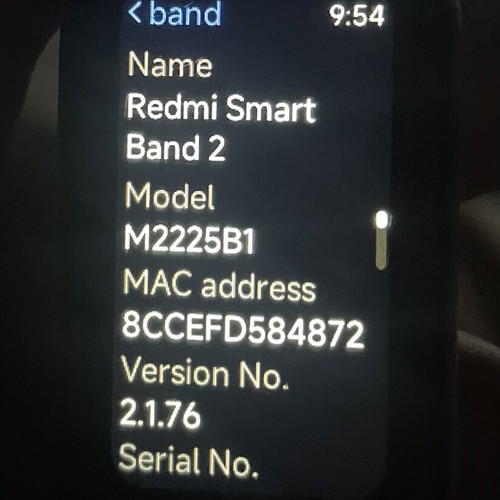 Xiaomi Redmi Smart Band 2 fitness tracker