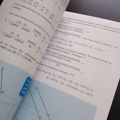 Principles of Economic Theory Exercise Solutions Book like new