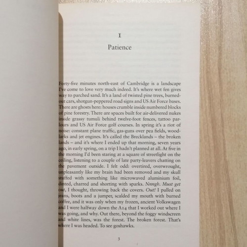 Helen Macdonald H Is for Hawk paperback new book in English