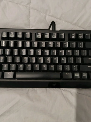 Blackwindow Tournament mechanical keyboard used for gamers