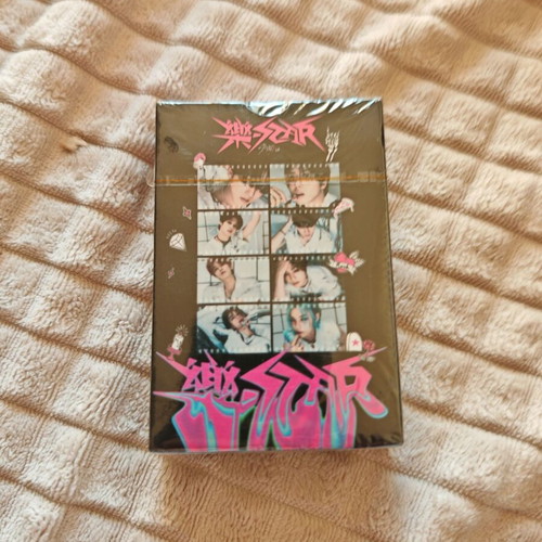 Stray Kids LOMO Photocards Set of 55 New