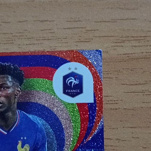 Panini World Cup 2026 Adrenalyn XL Limited Edition Tchouameni card used