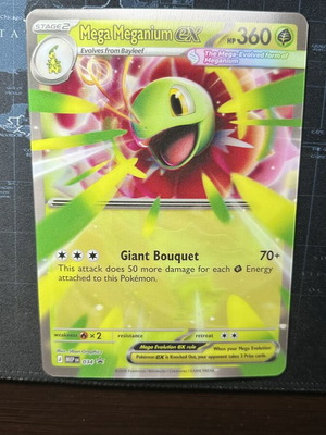 Mega Meganium ex Jumbo Card new