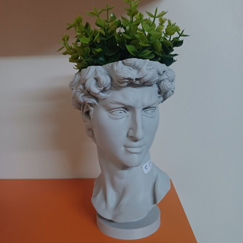 3D Print David Plant Pot