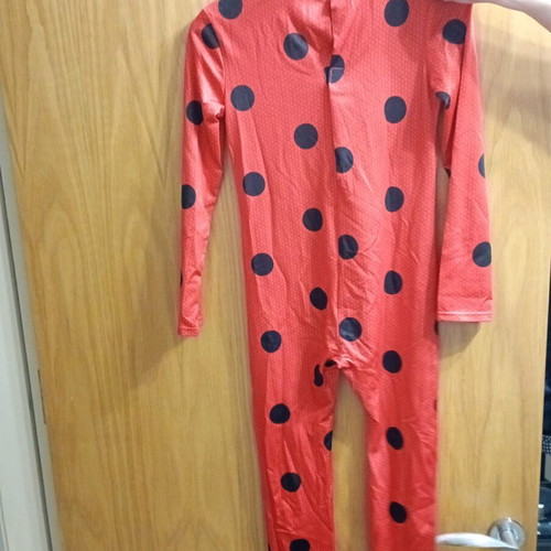 Lady Bug carnival costume for 9-10 years old, like new