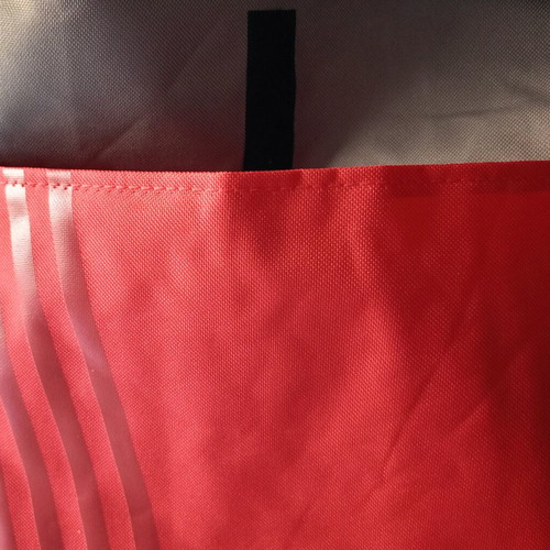 Set of 2 ArGOODaki (Goody's) collectible backpacks red and green like new