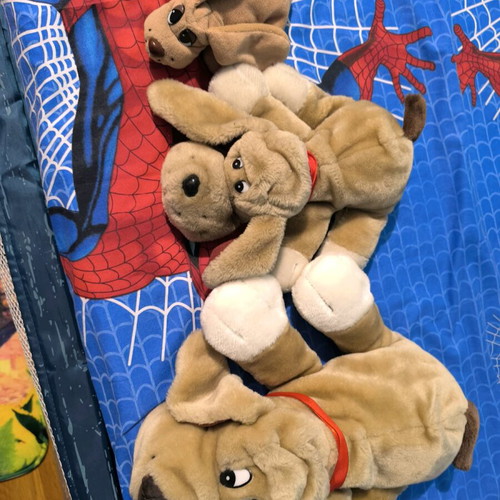 Vintage Pound Puppies like new, various sizes, set