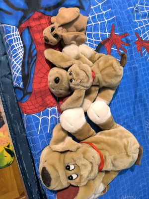 Vintage Pound Puppies like new, various sizes, set