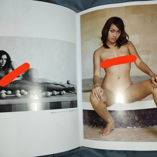 The New Erotic Photography Hardcover book like new, English
