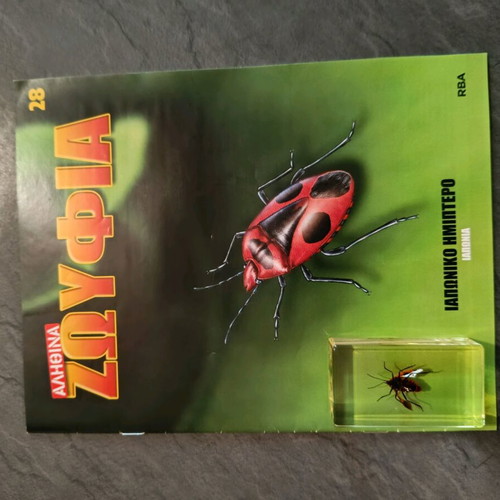 Real Insects Issue 28 used