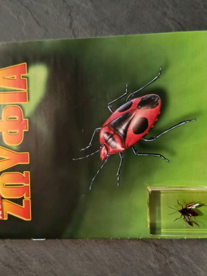 Real Insects Issue 28 used