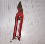 Vintage pruning shears used