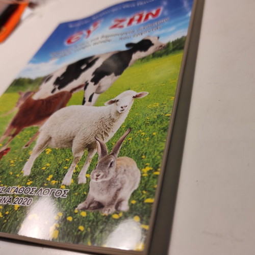 Ev Zin book like new by Ioannis Aravanis and Thea Panagiotou
