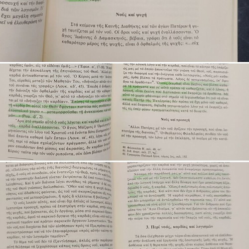 Orthodox Psychotherapy book