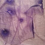 Curtain used approximately 2.25x2.70