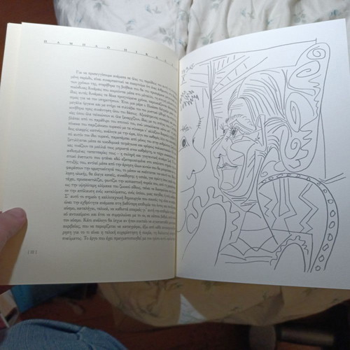 Pablo Picasso: The Painter of the 20th Century book