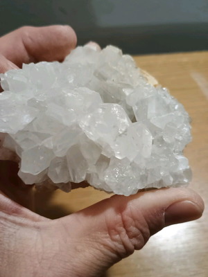 Cactus quartz new