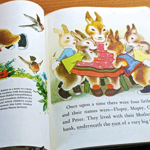 The Tale of Peter Rabbit used, in English