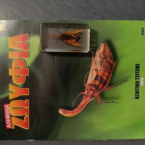 Real Insects Issue 10 used, in very good condition