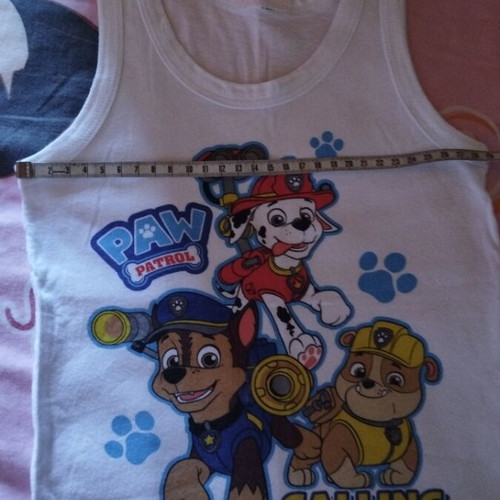 Paw Patrol T-shirt new unworn, white multicolor, for ages 2-4