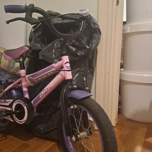Orient 14 inch bicycle with training wheels