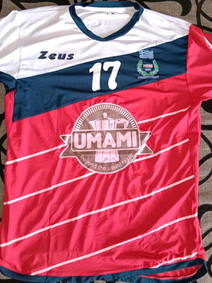 Niki Amarousiou Volleyball Jersey used, women's YXL by Zeus