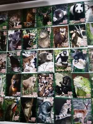 The World of Animals used stickers, 157 pieces