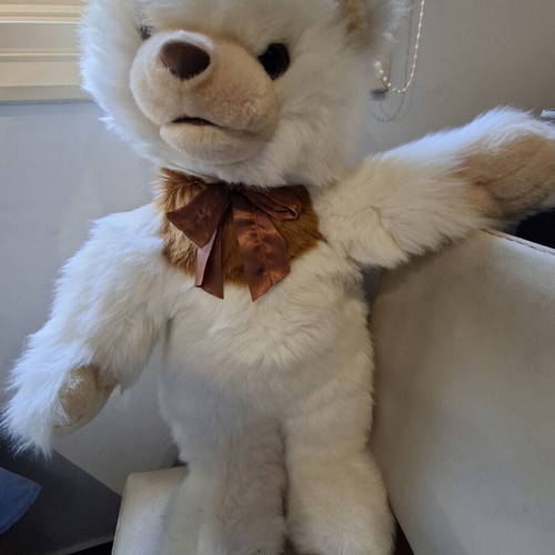 Large teddy bear like new