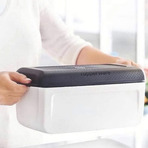 Smart Junior Tupperware Bread Box collectible color new