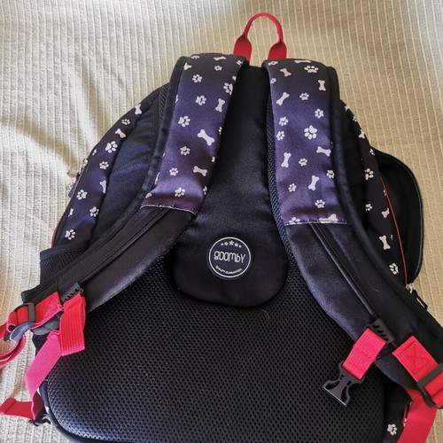 School bag set used with lunch bag and pencil case