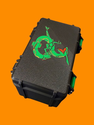 Deckbox για κάρτες Pokémon με σχέδιο Rayquaza, καινούργιο