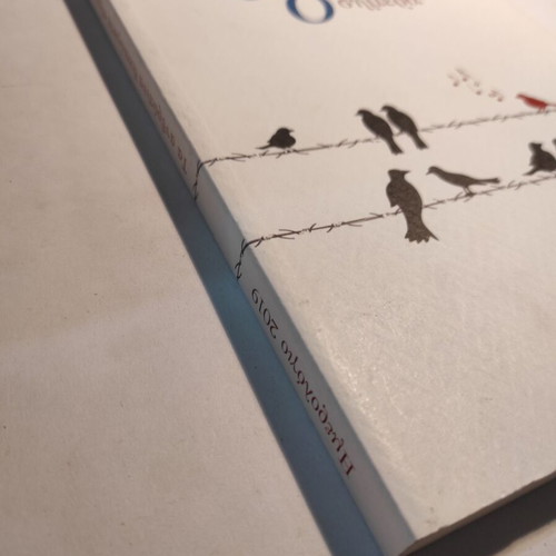 Human Rights Today book like new