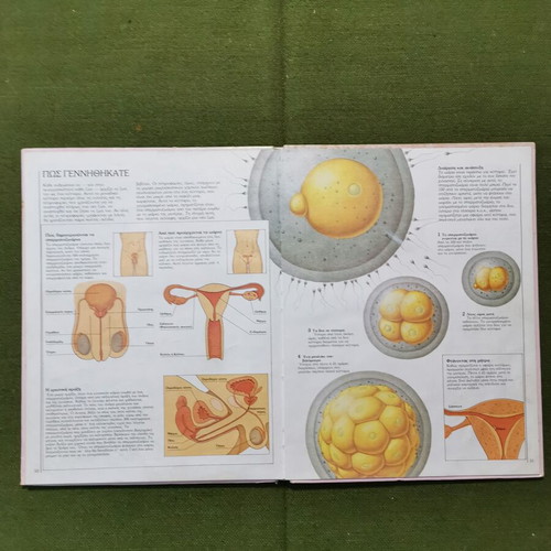 Book The Body and How It Works used