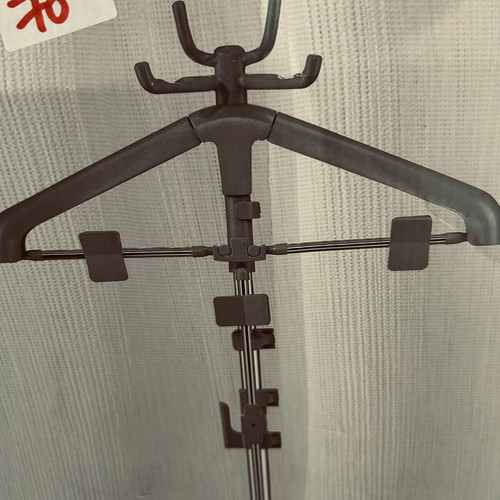 Vertical garment steamer with hanger and accessories