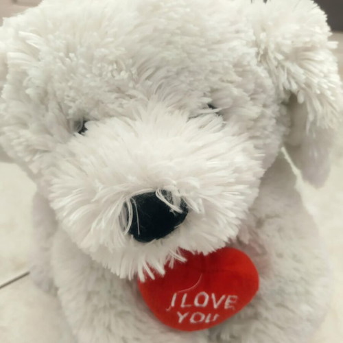 Plush Bear Dog Like New With I Love You Heart, 22cm