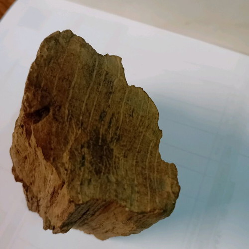 Petrified wood used, 550 grams