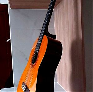 Classic Guitar Yamaha C40