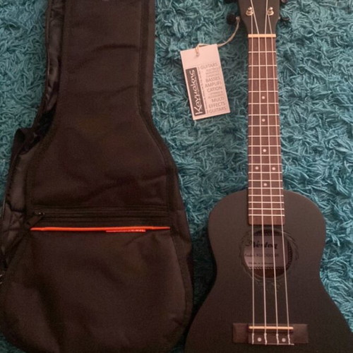 Ukulele with case, never used