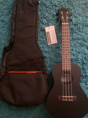 Ukulele with case, never used