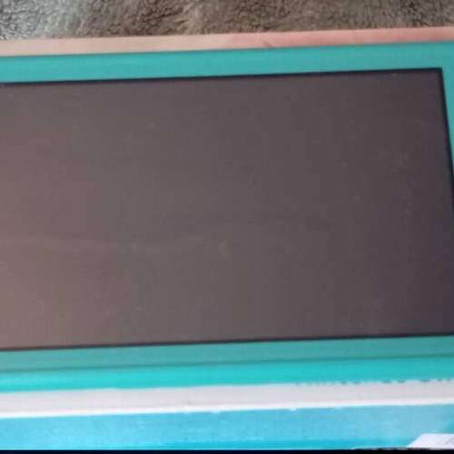 Nintendo Switch Lite console with charger and special controllers