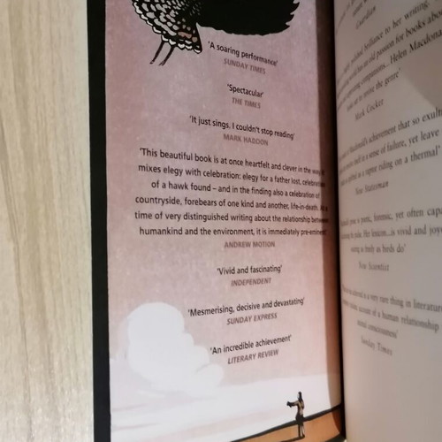 Helen Macdonald H Is for Hawk paperback new book in English