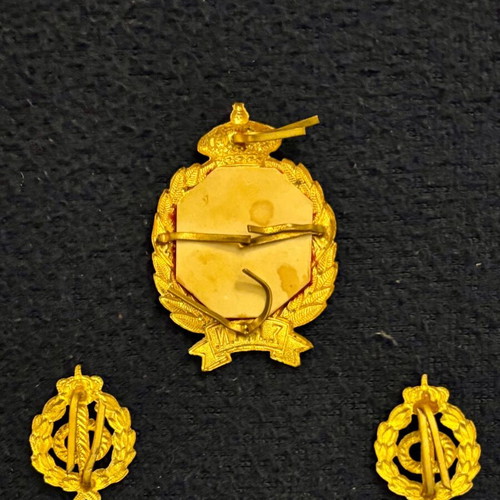 Saan Military Insignia Set like new, Queen Frederica Monogram