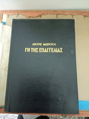 Η Γη της Επαγγελίας αχρησιμοποίητο σε άριστη κατάσταση